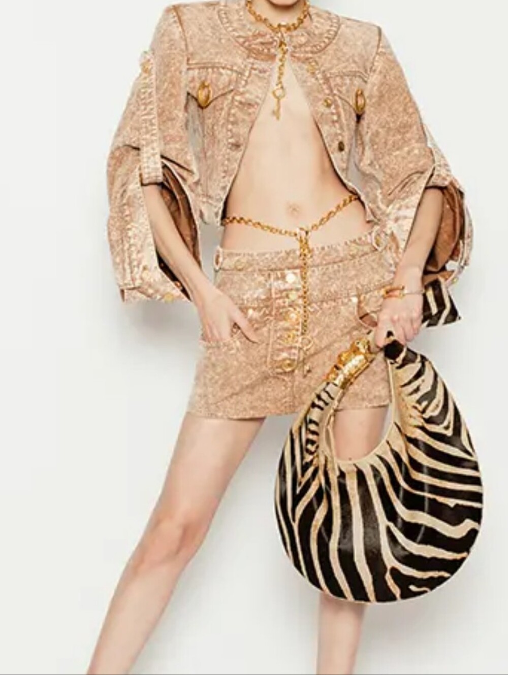 .RARE.Schiaparelli SOUFFLÉ Zebra bag